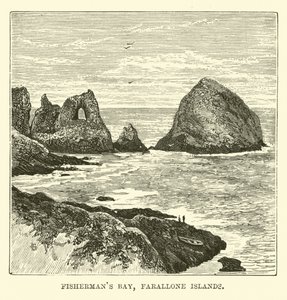 Fishermans Bay, Farallonøerne af English School