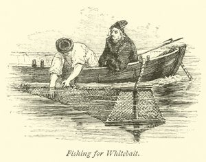 Fishing for Whitebait  af English School
