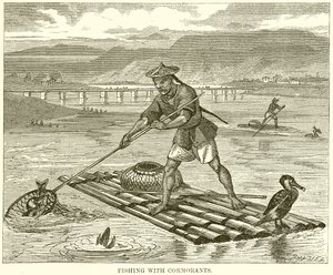 Fischen mit Kormoranen von English School