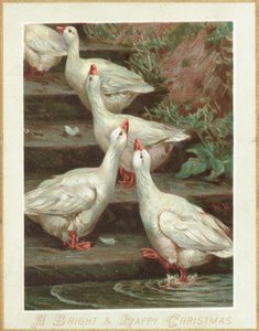 Fem gæs stående på trapper, julekort af English School