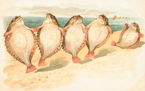 Fem fladfisk danser på en strand af English School