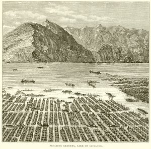 Flydende haver, Srinagar-søen af English School