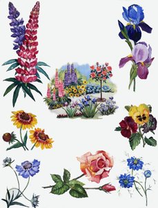 Blomster af English School