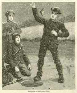 Fred zieht die gesprenkelte Forelle heraus von English School