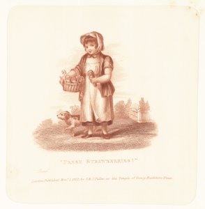 Friske jordbær! af English School