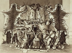 Frontispice af storvildtskydning i Tibet, Himalaya og det nordlige Indien af oberst Alexander Kinloch, udgivet 1885 af English School