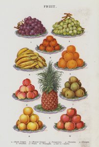 Frugt (kromolitho) af English School
