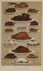 Vildt og fjerkræ af English School