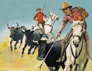 Gardians i Camargue af English School