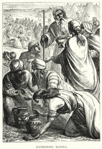 Sammeln von Manna (Stich)