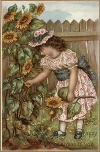 Girl picking sunflowers in a gardendani af English School