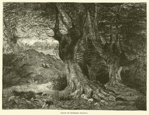 Glade i Burnham Beeches (gravering) af English School