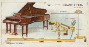 Flygel (chromolitho) af English School