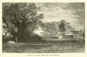 Grav af Mary (Moffat) Livingstone af English School
