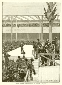 Great Unionist Demonstration i Belfast, 1890 af English School