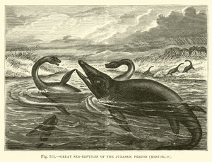 Great sea-reptiles of the Jurassic Period, restored  af English School
