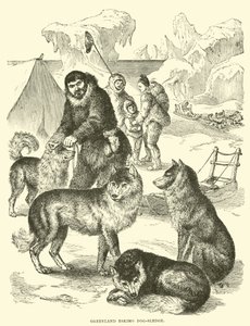 Grönländischer Eskimo-Hundeschlitten