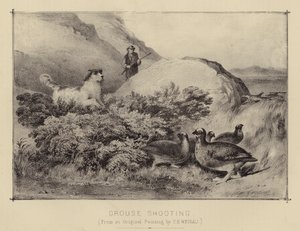 Rypeskydning (farve litho) af English School