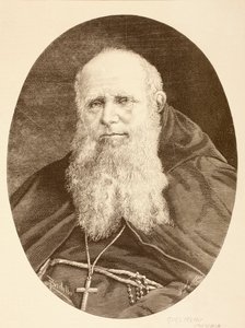 Guglielmo Massaia (litho) af English School