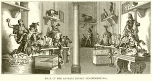 Dyrenes sal (Museo Pio-Clementino) af English School