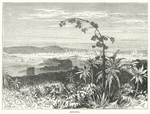 Havana (gravering) af English School