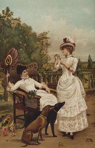 Er liebt mich, er liebt mich nicht! von English School