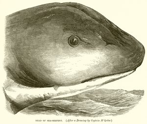 Head of Sea-Serpent af English School