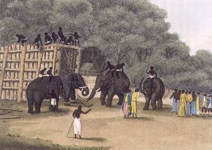 Hindoo Elephant Trap, pub. af Edward Orme af English School