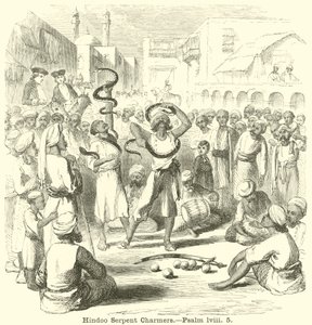 Hindoo Serpent Charmers, Salme, lviii, 5 af English School