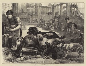 Hjem for nødlidende hunde (gravering) af English School