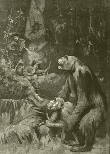 Gorillaens hjem (gravering) af English School