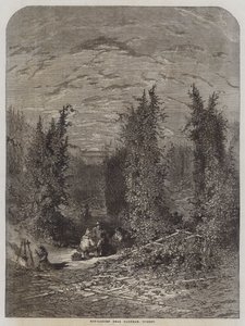 Hopfengarten nahe Farnham, Surrey (Stich)