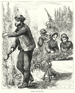 Humleplukning (gravering) af English School