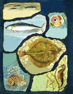 Hvordan fisk undslipper deres fjender af English School