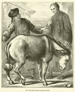 Hvordan de får æsler til at holde op med at brøle i Kina (gravering) af English School