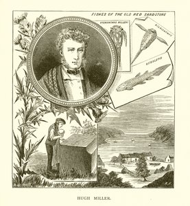 Hugh Miller af English School