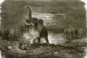 Jæger og elefant af English School