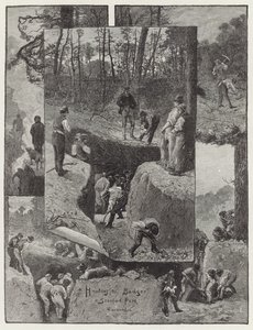 Jagt grævlingen i Stanford Park af English School