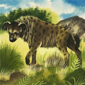 Hyæne af English School