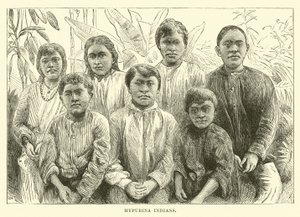 Hypurina indianere af English School
