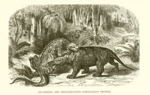 Iguanodon og Megalosaurus, Kridtsystemet af English School