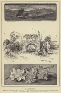 Illustration (gravering) af English School