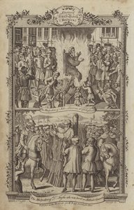 Illustration für Fox