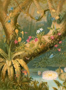 Illustration für Grays Elegie