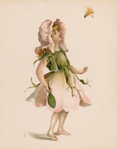 Illustration til The Language Of Flowers (chromolitho) af English School