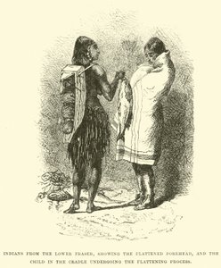 Indianere fra Lower Fraser, der viser den fladtrykte pande, og barnet i vuggen, der gennemgår fladningsprocessen af English School