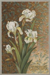 Iris (chromolitho) af English School