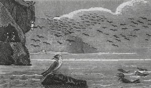 Isle of Man (gravering) af English School