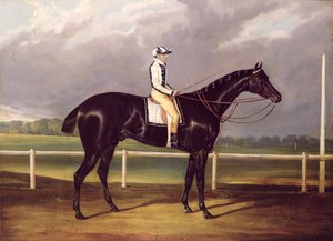 Jerry, vinder af St. Leger i 1824 (olie på lærred) af English School