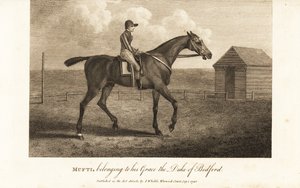 Jockey på den berømte fuldblods racer Mufti, der tilhører hans Grace the Duke of Bedford af English School